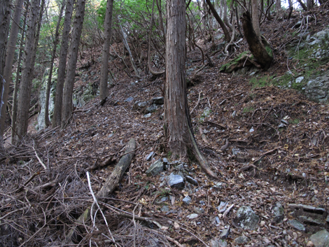 20131124hike (233)
